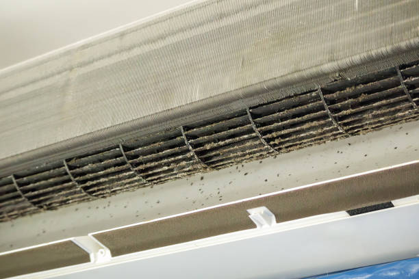 Best Professional Duct Cleaning Services  in Osseo, WI
